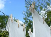 Dream Meaning of Clothesline In A Dream