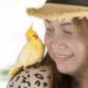 Dream Meaning of A Bird Landing On Your Shoulder