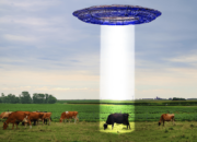 Dream Meaning of A Goat Coming Out Of A Ufo