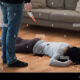 Dream Meaning of Killing Someone With Knife