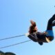 Dream Meaning of Swinging High
