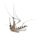 Dream Meaning of Dead Mosquito