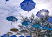 Dream Meaning of Seeing A Blue Umbrella