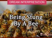 Dream Meaning of Being Stung By A Bee