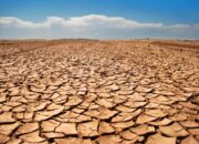 Dream Meaning of Dry