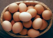 Dream Meaning of Eggs