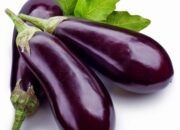 Dream Meaning of Eggplant