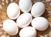 Dream Meaning of White Eggs