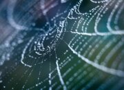 Dream Meaning of Spider Webs