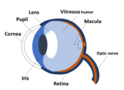 Dream Meaning of Seeing The Right Eye Blind