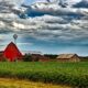 Dream Meaning of Farm