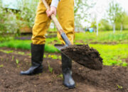 Dream Meaning of Digging Soil