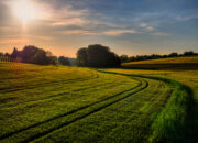 Dream Meaning of Fields