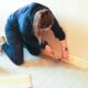Dream Meaning of Fitting Boards Into Place