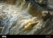 Dream Meaning of Dirty Flood Water