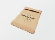 Dream Meaning of Big Brown Envelope