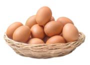 Dream Meaning of Egg