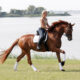 Dream Meaning of Riding A Horse