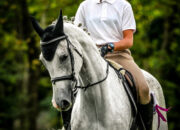 Dream Meaning of Riding A White Horse