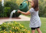 Dream Meaning of Watering Plants