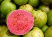 Dream Meaning of Guava