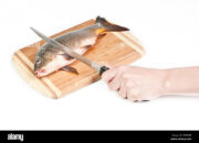 Dream Meaning of Cutting Fresh Fish