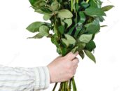 Dream Meaning of Someone Giving You A Bouquet Of Roses