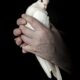 Dream Meaning of Holding A Pigeon