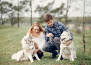 Dream Meaning of Having A Dog