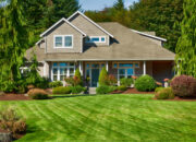 Dream Meaning of Front Yard