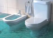 Dream Meaning of Toilet Overflowing With Clear Water
