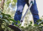 Dream Meaning of Weeding The Garden