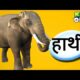 Dream Meaning of Elephant In Hindi