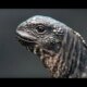 Dream Meaning of Snakes Chasing You