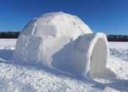 Dream Meaning of Igloo
