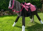 Dream Meaning of Wooden Horse