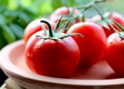 Dream Meaning of Tomatoes