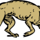Dream Meaning of A Mangy Dog