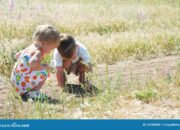 Dream Meaning of Catching Grasshoppers