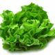 Dream Meaning of Lettuce