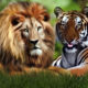 Dream Meaning of Tiger And Lion