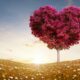Dream Meaning of Love