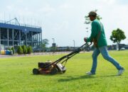 Dream Meaning of Someone Cutting Grass