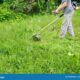 Dream Meaning of Clearing Grass
