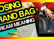 Dream Meaning of Losing Handbag