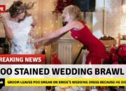 Dream Meaning of Pooping On A Wedding Dress