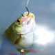 Dream Meaning of Catching Fish With Hook