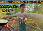 Dream Meaning of Eating Cooked Cassava