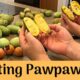 Dream Meaning of Eating Pawpaw