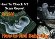 Dream Meaning of Finding A Baby